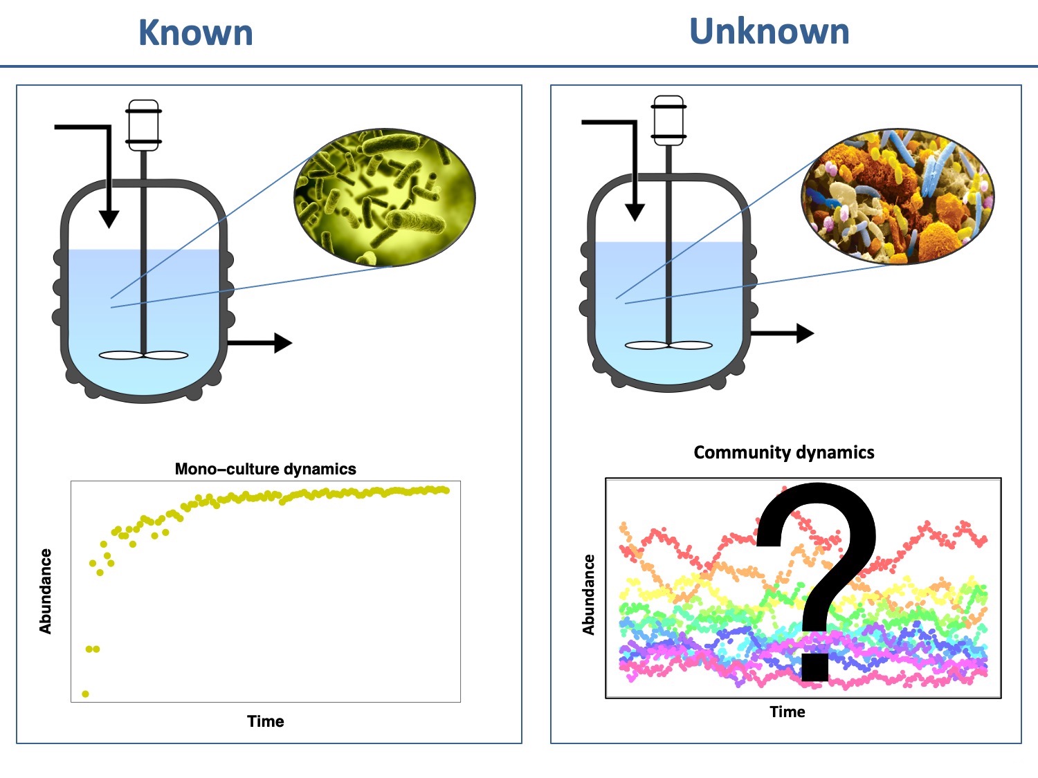 The dynamics of one versus several species in a bioreactor.